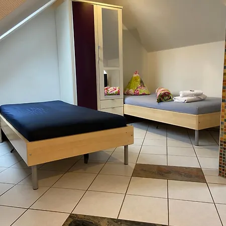 Rehn Dresden